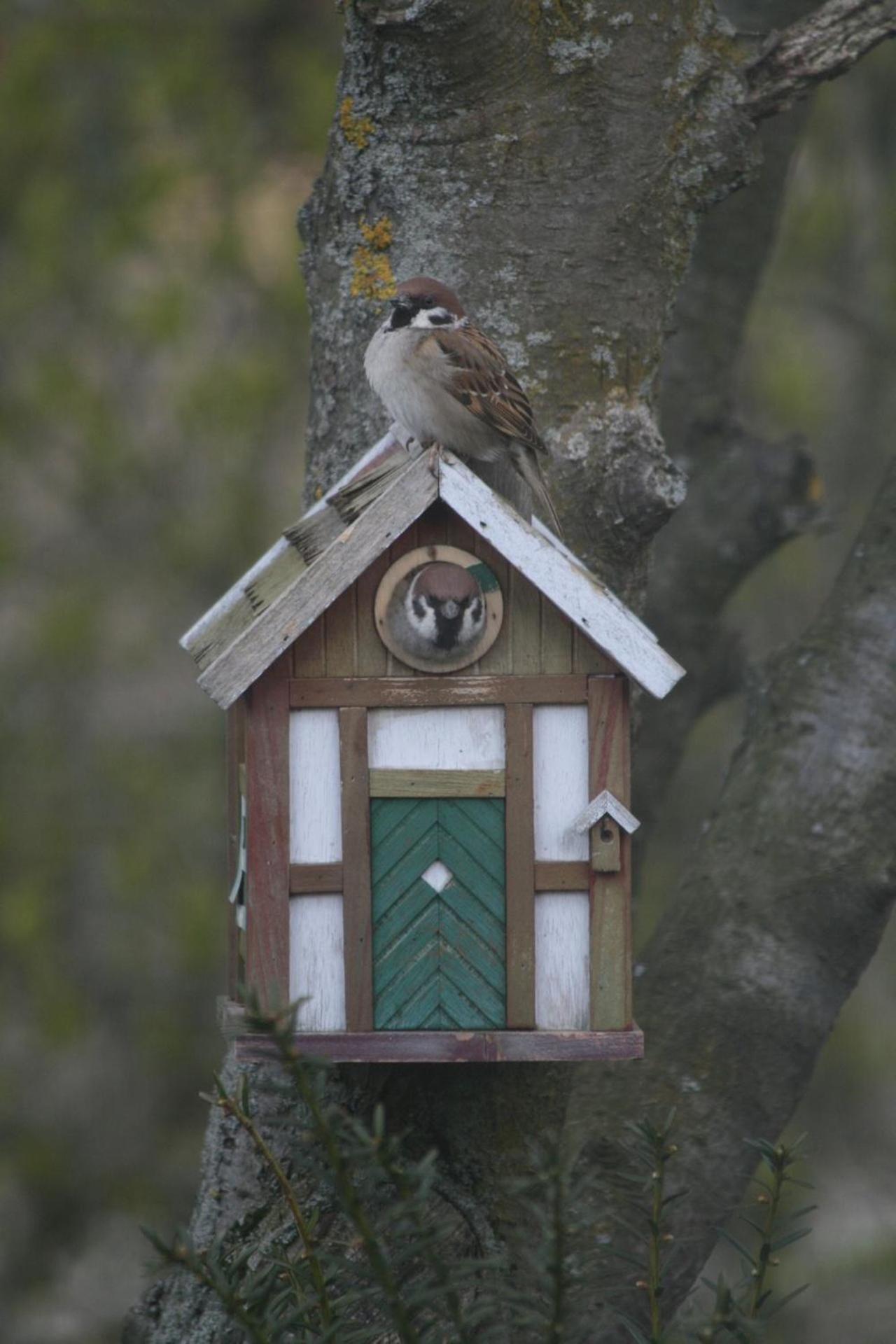 Lilla Huset Pa Slaetten B&B Lund Eksteriør billede