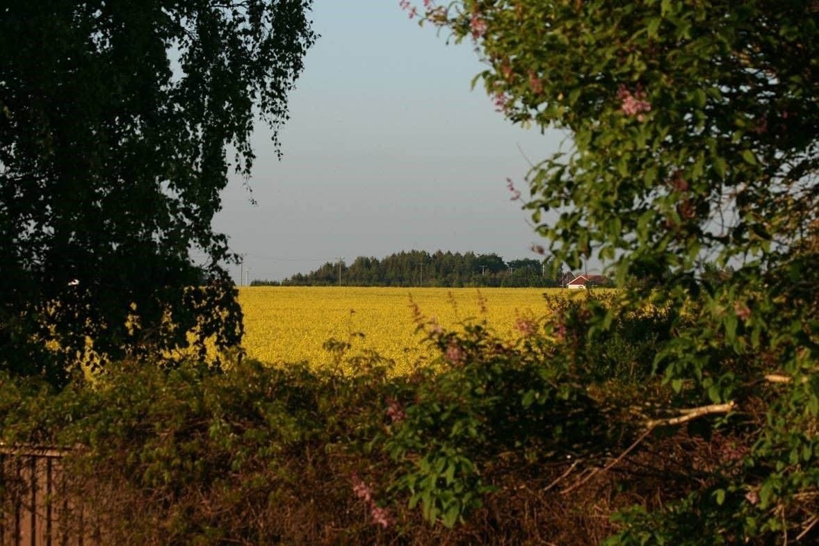 Lilla Huset Pa Slaetten B&B Lund Eksteriør billede